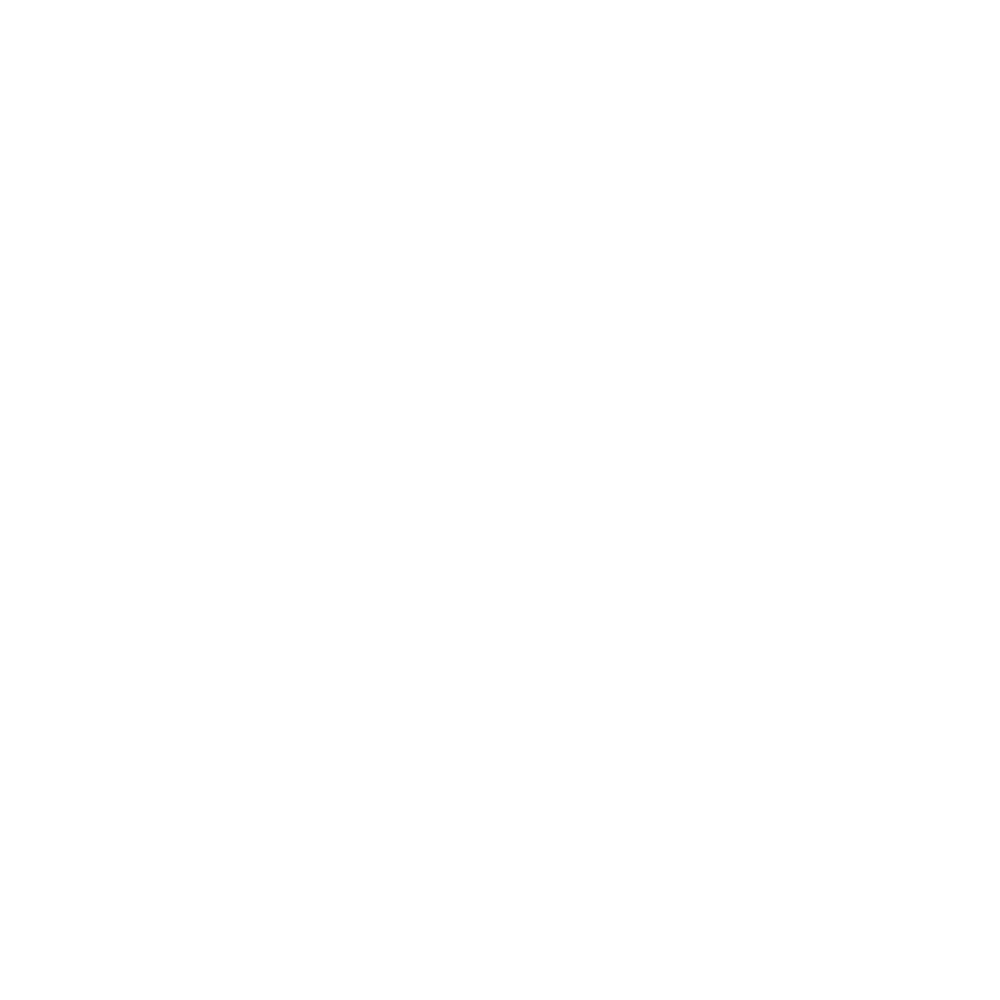 Black Ops 6 Icon